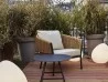 The Lapel armchair by Ligne Roset